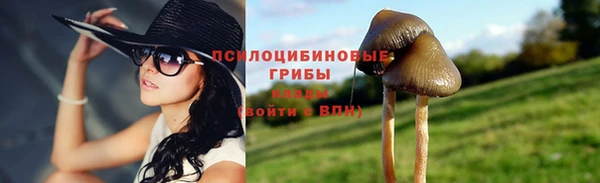 молекула духа Алексеевка