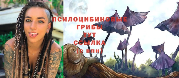 Альфа ПВП Алексин