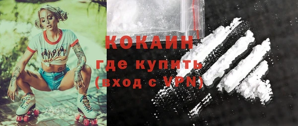 МДПВ Алзамай