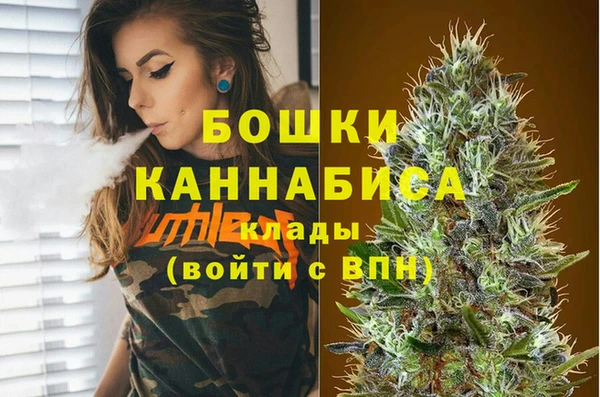 Альфа ПВП Алексин