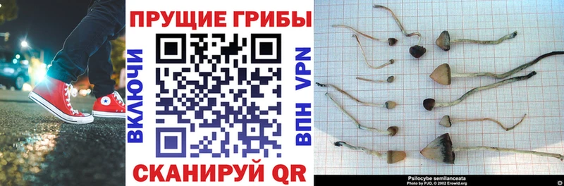 Галлюциногенные грибы прущие грибы  Ясный 